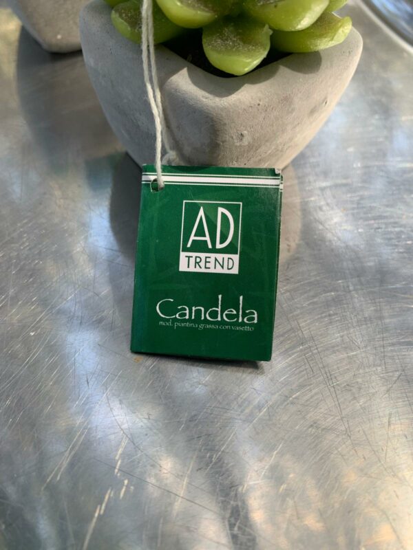 Candele decorative - Cactus - immagine 3